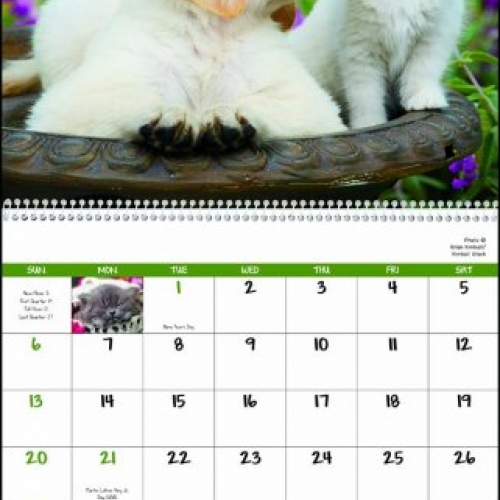 Humorous Calendars